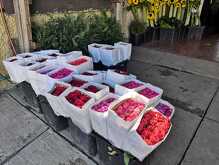 Florerías se preparan para recibir clientes el 14 de febrero en Monterrey.