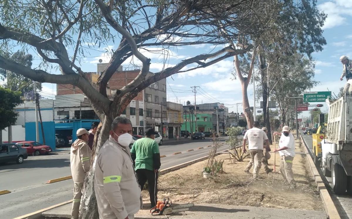 Caída de una rama por vientos en GAM / @SGIRPC_CDMX