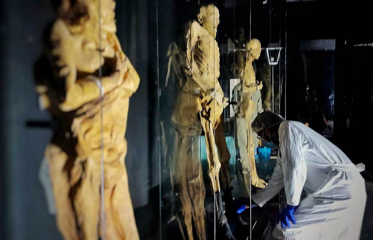 Viajan Momias de Guanajuato a Feria de Verano de León