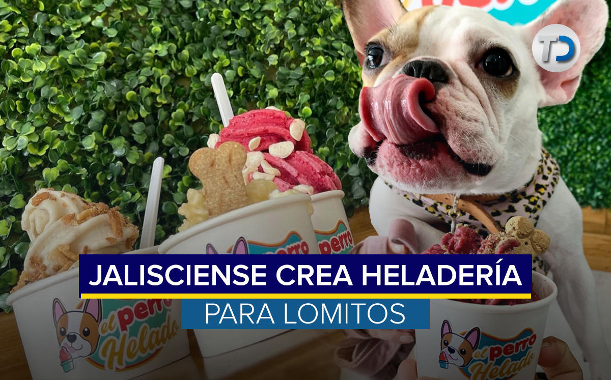 Heladería para perros en Zapopan / Jalisco