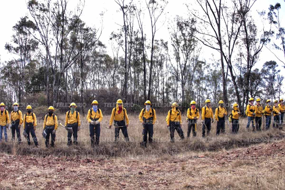 Los brigadistas realizaron una práctica en la Reserva Estatal Flor del Bosque / Melanie Torres
