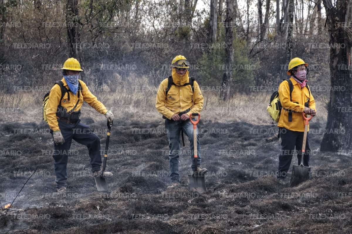 El Centro Estatal de Control de Fuego es un sistema para vigilar los incendios forestales en Puebla / Melanie Torres