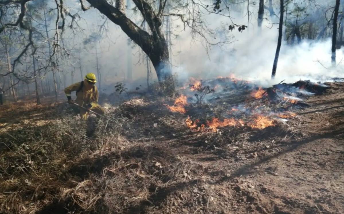 Sofocan incendio en Atarjea