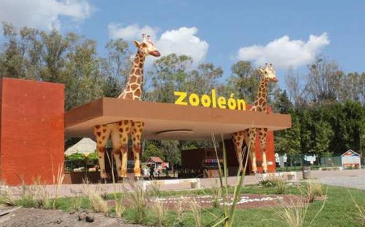 ¡Atención! Llegan los huevos de Pascua al Zoológico de León