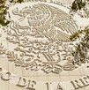 Telediario Media Aprueban Ley de Juicio Político en comisiones del Senado
