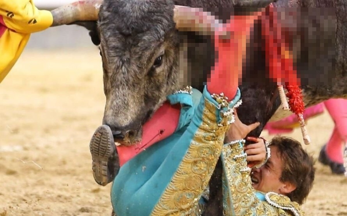 Arturo Gilio sufre cornada de toro en Madrid