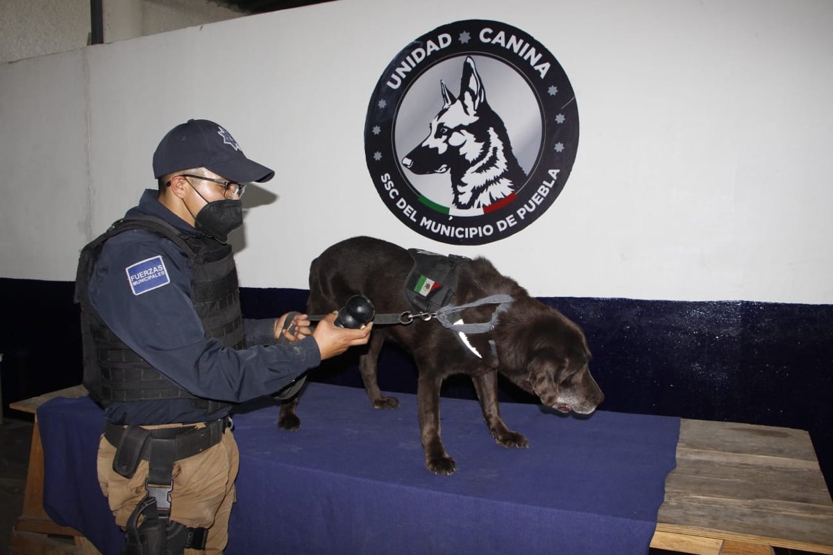 Anika se jubilará tras varios años de servicio de la SSC Puebla / Melanie Torres