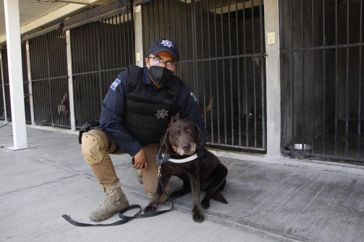 Hugo y Anika ahora compartirán casa tras la jubilación de la perrita / Melanie Torres