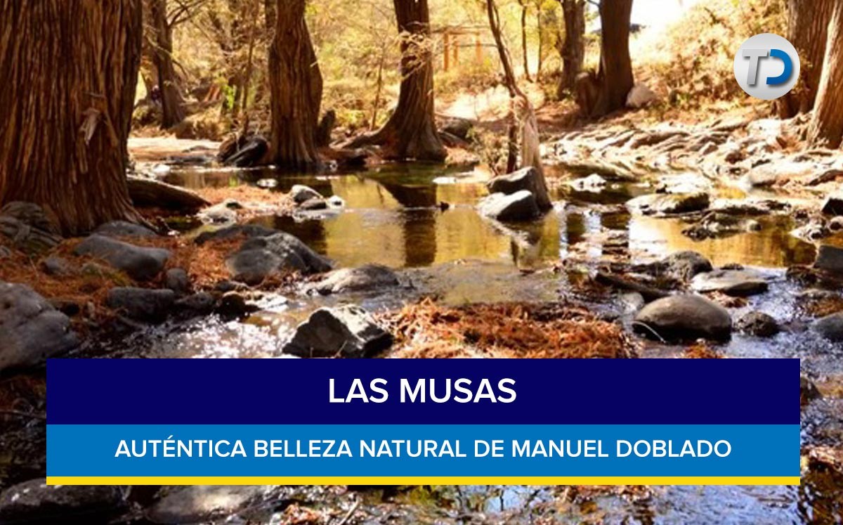Las Musas en Manuel Doblado; Qué encontrar y cómo llegar Telediario México