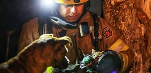 Gatito recién nacido rescatado por bomberos en un incendio en Tijuana. / Cortesía Gatito recién nacido rescatado por bomberos en un incendio en Tijuana. / Cortesía