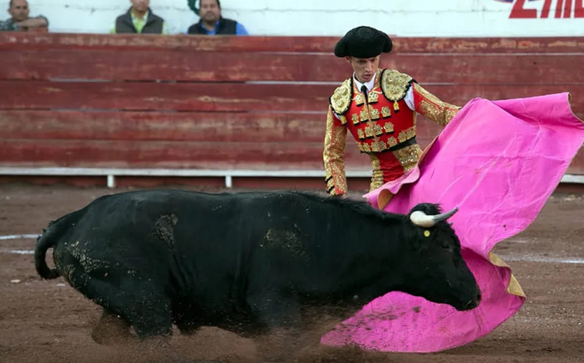 La medida puede ser impugnada por la Alcaldía Benito Juárez /Cortesía