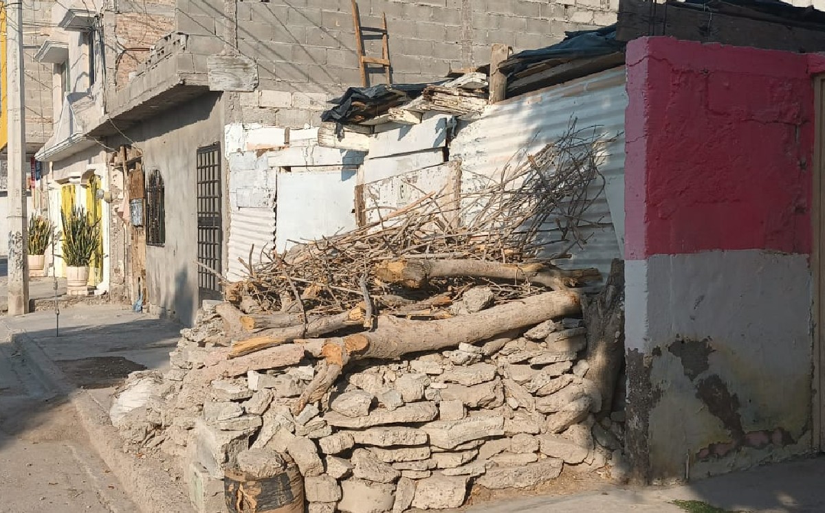 Vecinos denuncian vivienda infestada de garrapatas en Torreón
