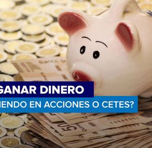Cómo ganar dinero invirtiendo en acciones o Cetes / Especial Cómo ganar dinero invirtiendo en acciones o Cetes / Especial