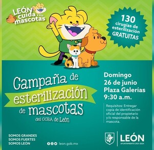 Estiman esterilizar 24 mil mascotas en León durante este 2022 Estiman esterilizar 24 mil mascotas en León durante este 2022