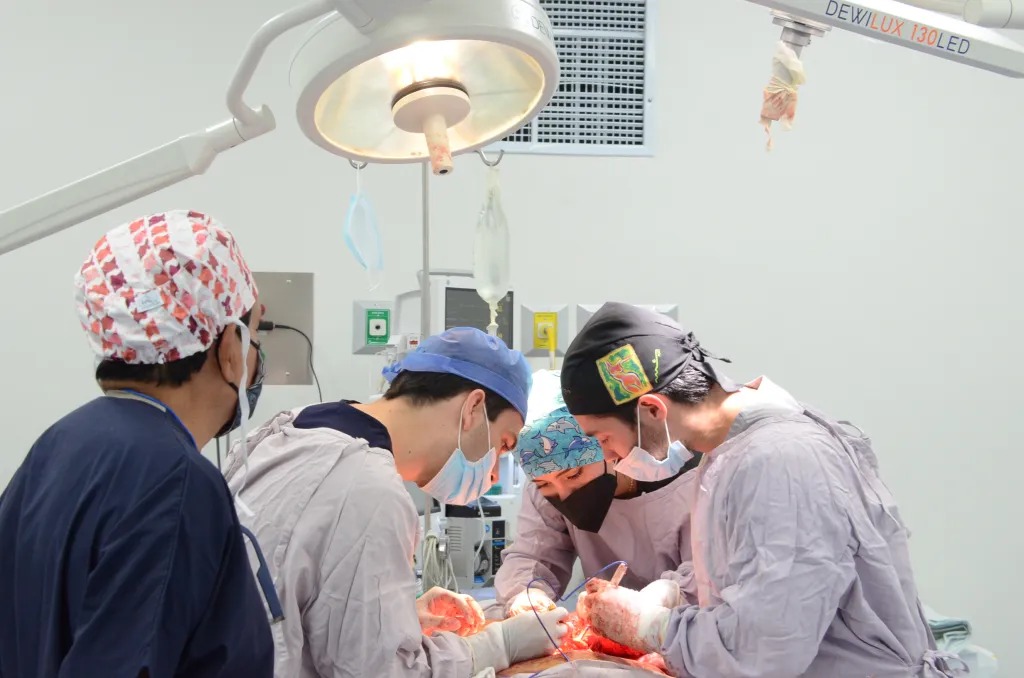 Transforman vida a 40 heroínas con reconstrucciones mamarias