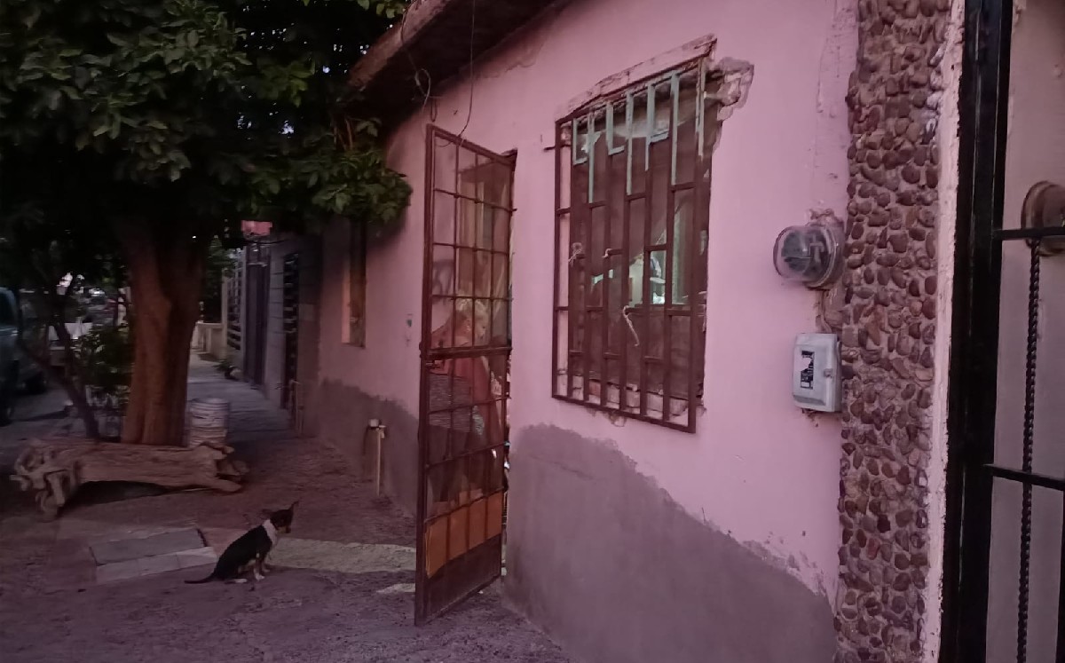 Familia denuncia proliferación de garrapatas en colonia de Torreón