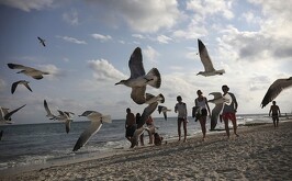Turismo nacional e internación