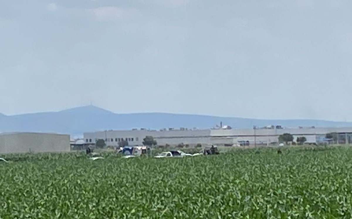 Avioneta se desploma por aeropuerto de Querétaro, se registran muertos / Especial