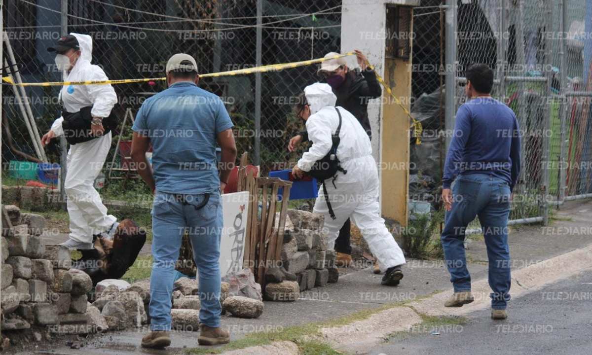 Peritos y agentes de la Fiscalía de Puebla acudieron a realizar las diligencias / Alfredo Fernández