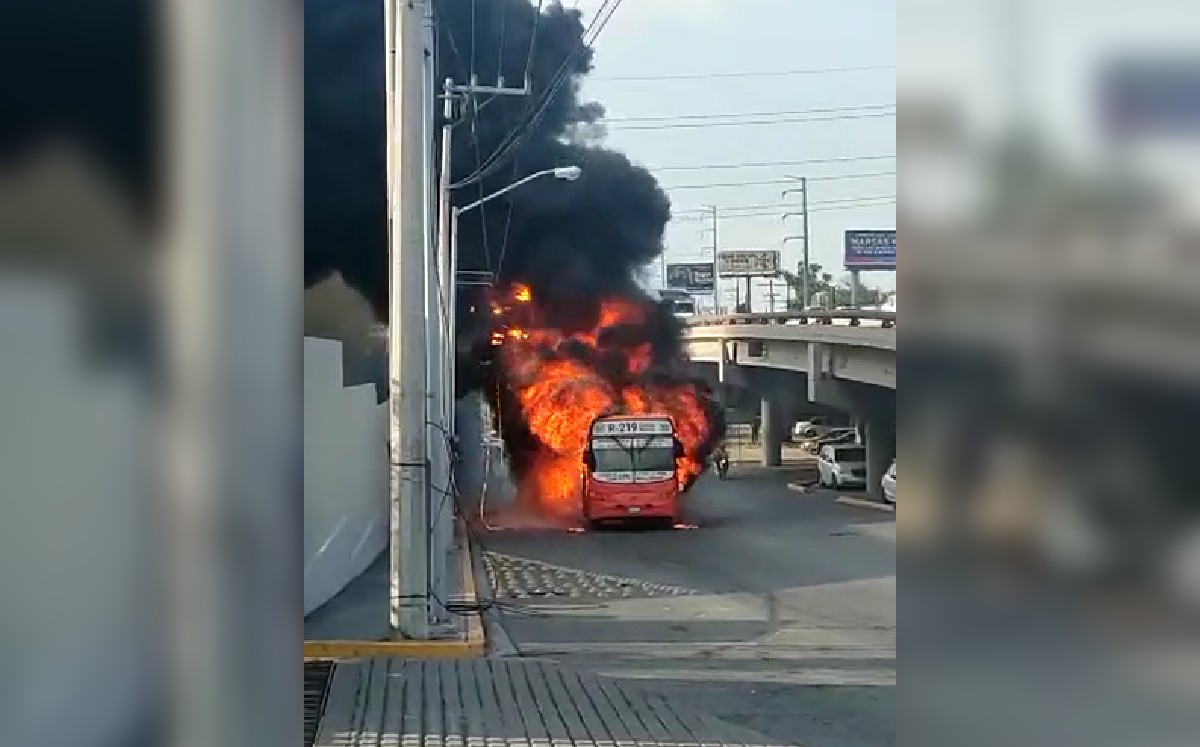 Incendio consume camión de la ruta 219 en Monterrey / Cortesía