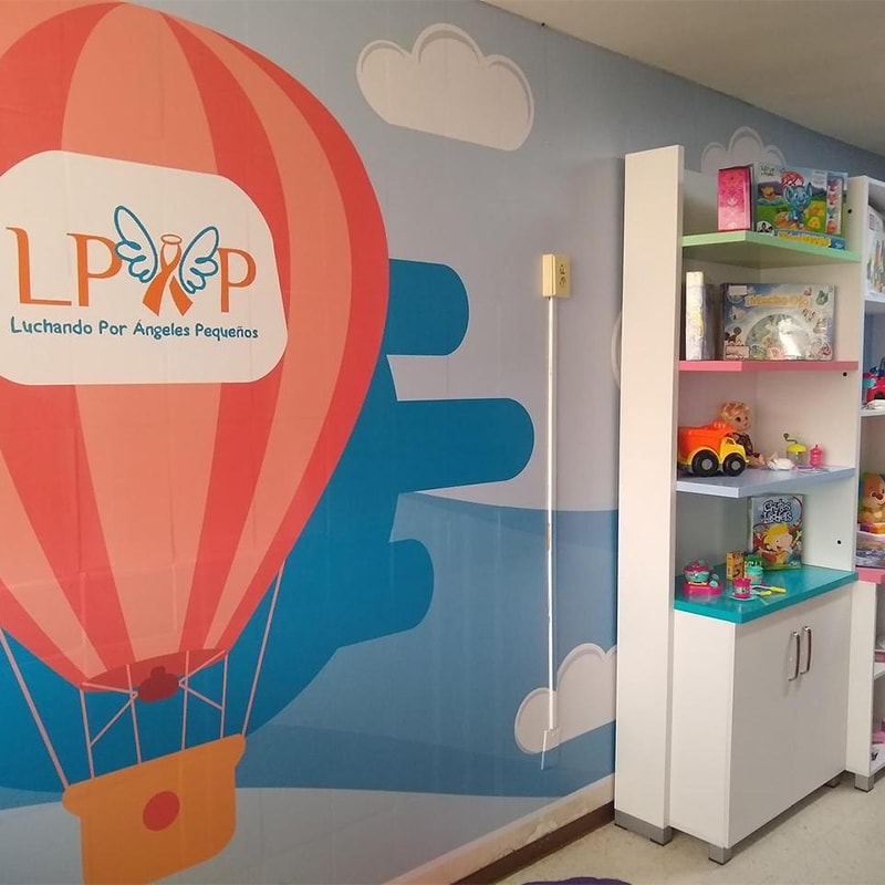 Quienes requieran de apoyo o deseen apadrinar a un niño, pueden contactar a la Asociación LPAP./ Tomada de web LPAP