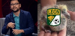 Club León es menospreciado por periodista al llamarlo pichón Club León es menospreciado por periodista al llamarlo pichón