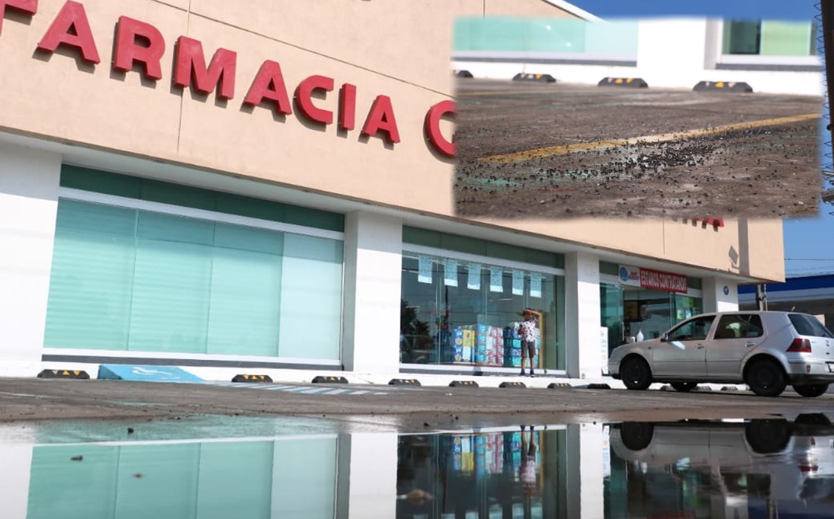 En Celaya habitantes viven con miedo tras ataque a hijo del alcalde / Dany Béjar