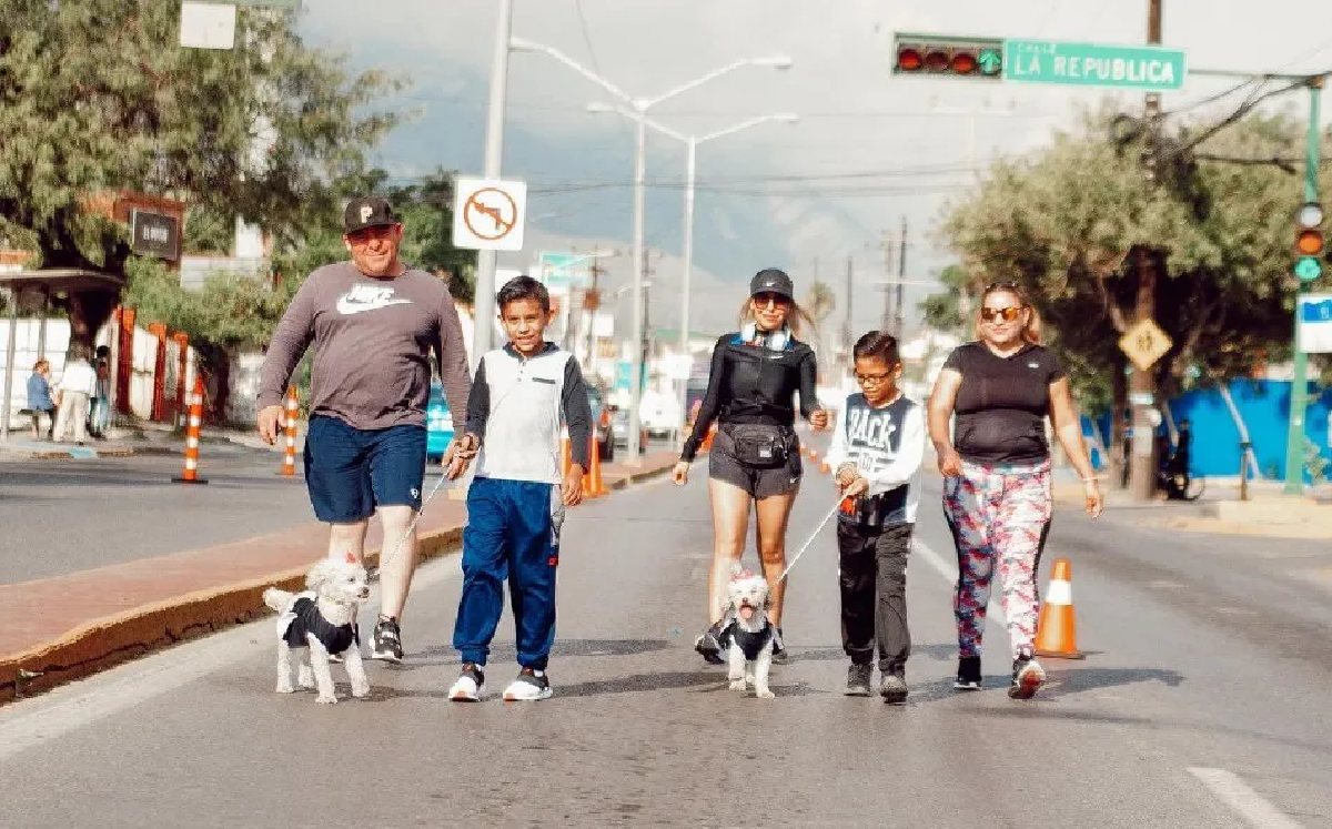 Avenida Ordoñez, Santa Catarina | Especial