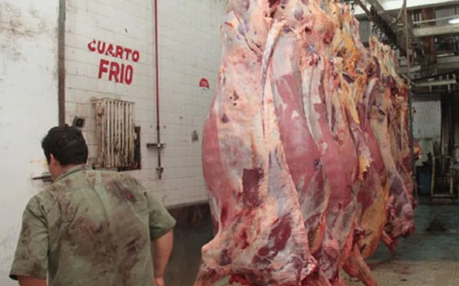 En Tamaulipas, piden que sea delito la crueldad animal en rastros