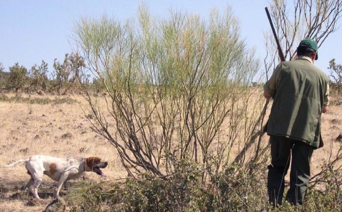 Hombre que está de caza en compañía de un perro / Europa Press