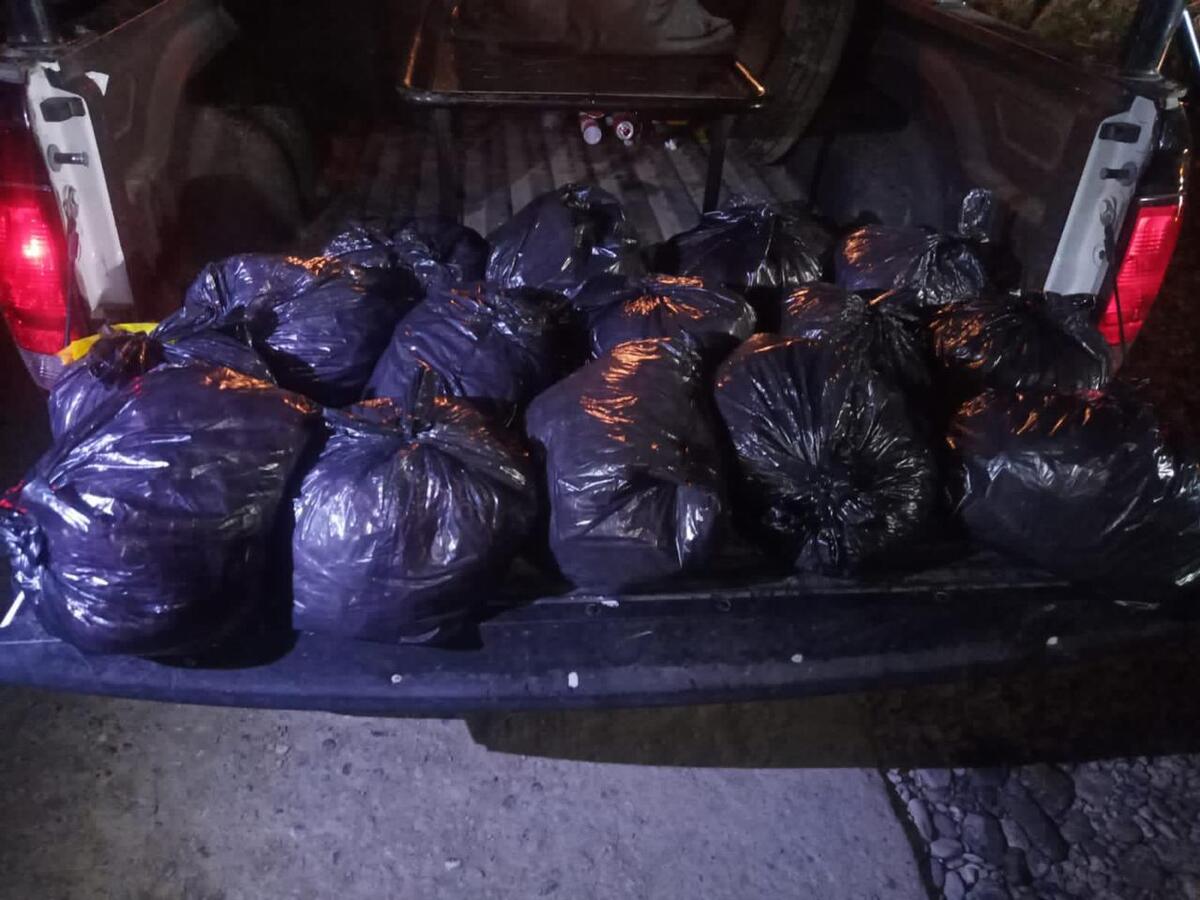 Fuerza Civil asegura 14 kilos de marihuana en Montemorelos, NL / Cortesía