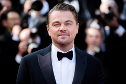Telediario Media Leonardo DiCaprio reprueba al gobierno de México por desproteger a la vaquita marina