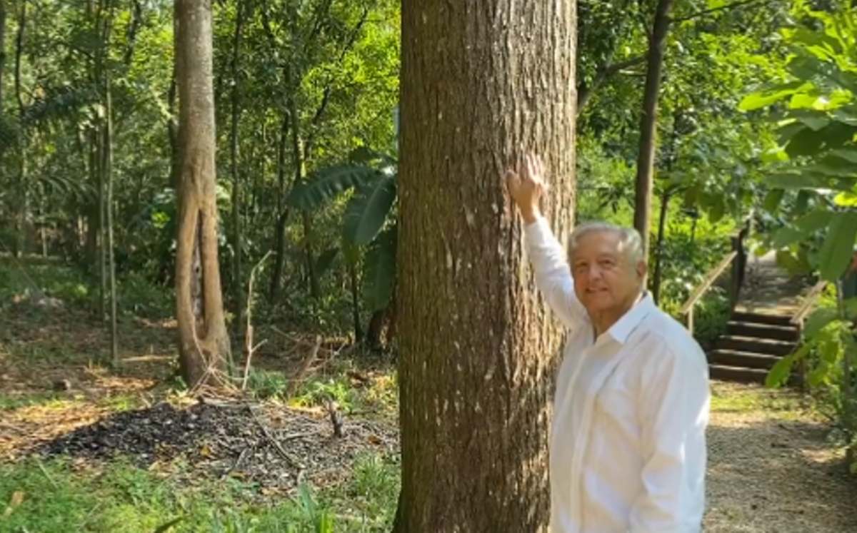 AMLO agradece felicitaciones por su cumpleaños. | Especial