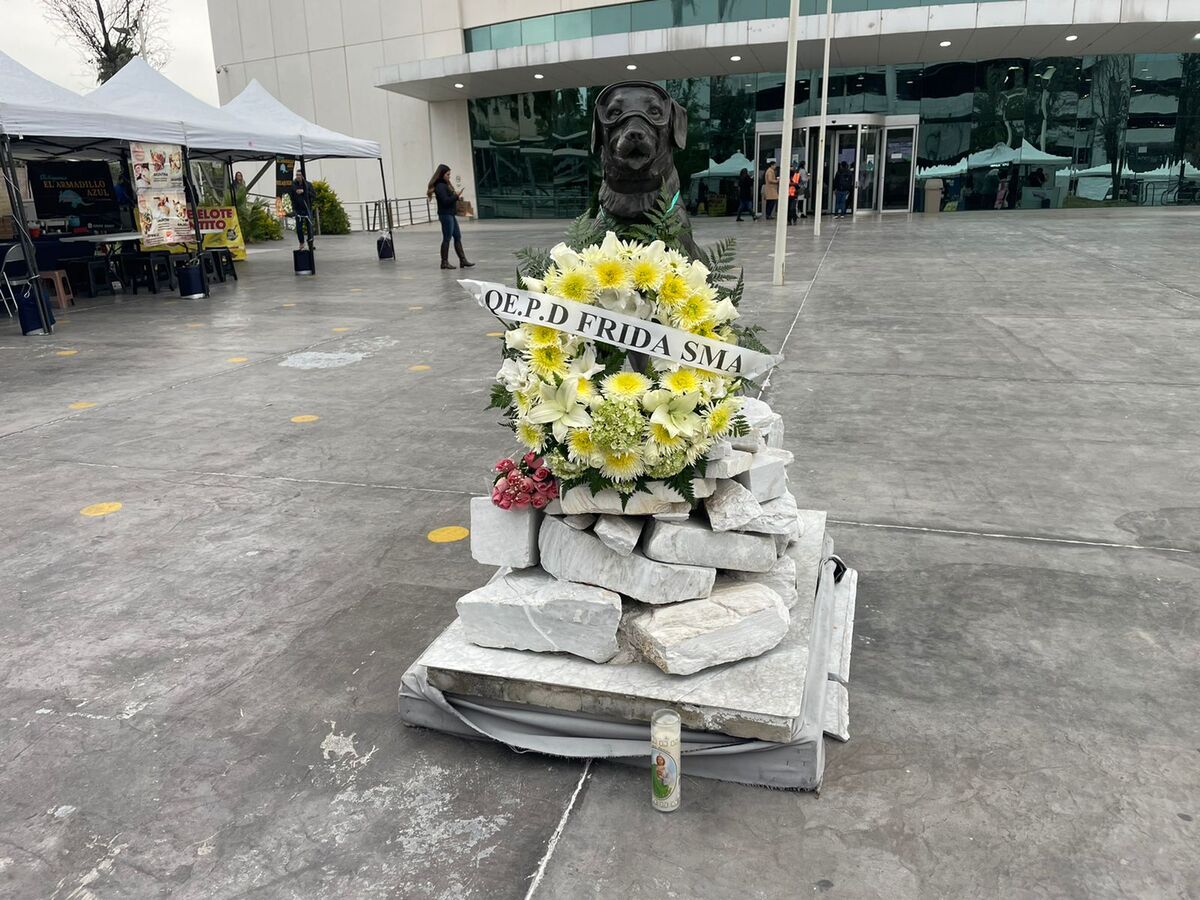La muerte de Frida conmovió a muchos mexicanos que la recuerdan como una heroína. | Víctor González Garza