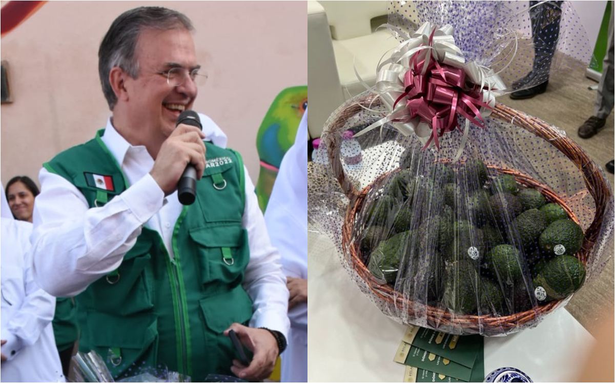 Aguacate llega a Qatar / Especial