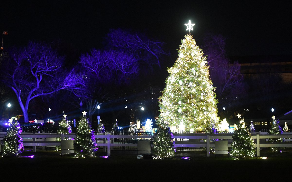 El árbol iluminado se ve durante la 100ª Iluminación Nacional del Árbol de Navidad en The Ellipse al sur de la Casa Blanca en Washington / AFP