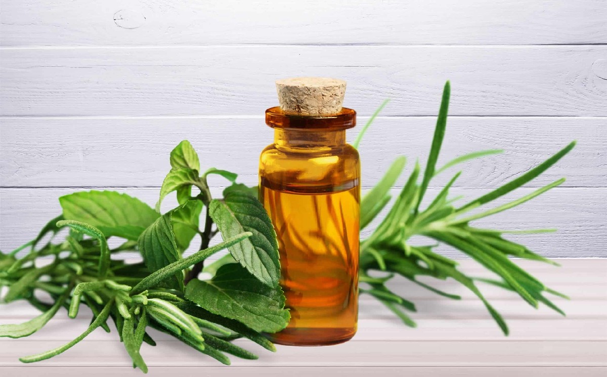 Aceite de árbol / Especial