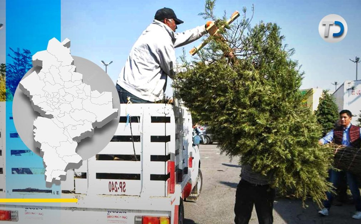 Centros de acopio para pinos navideños habilitados en Monterrey │