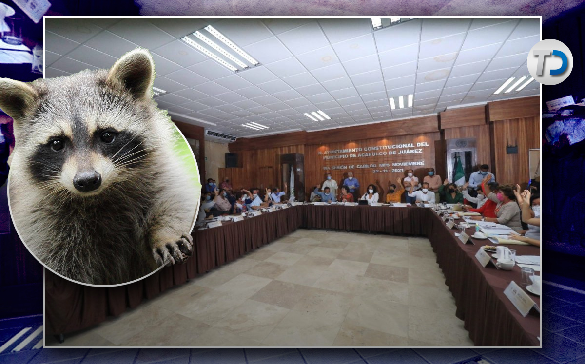 El animal recorrió prácticamente toda la sala, causando gritos y brincos entre los asistentes. | Cortesía