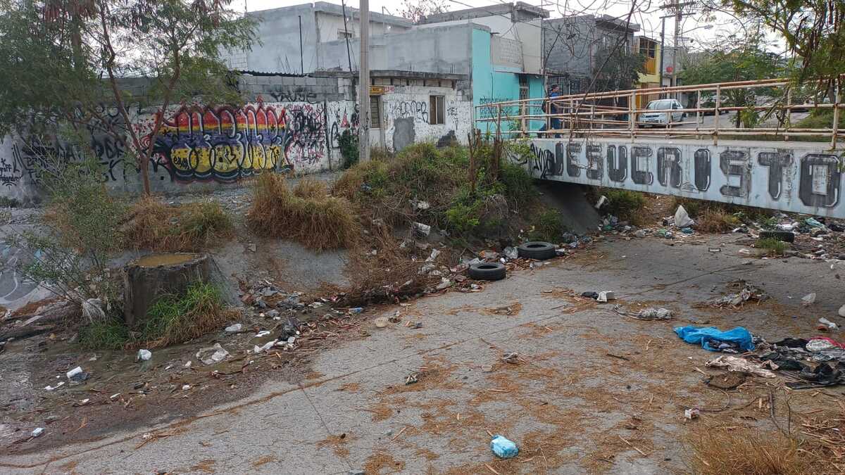 Arroyo en condiciones de insalubridad en la colonia Fomerrey 110 / Erik Solheim