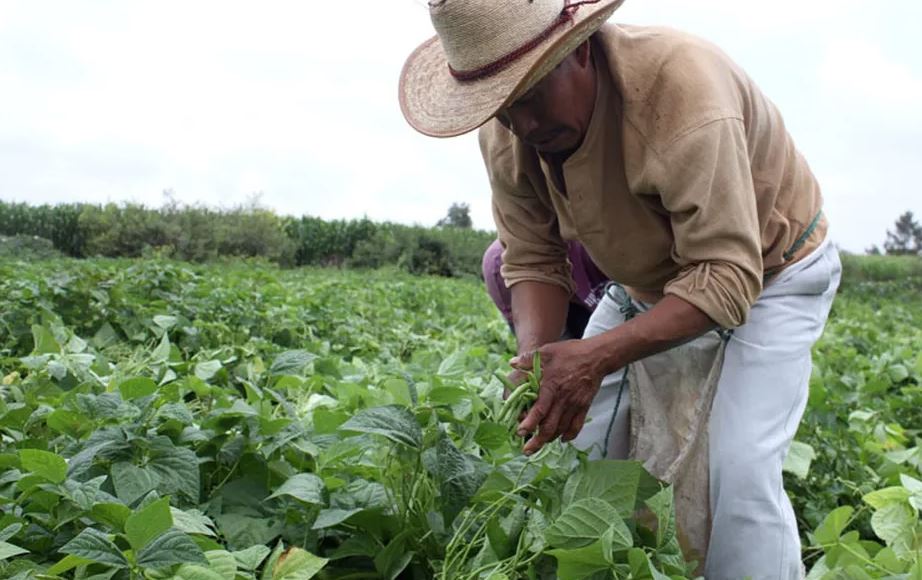 El campo en la entidad ha sufrido a partir de la crisis hídrica del año pasado. | Archivo