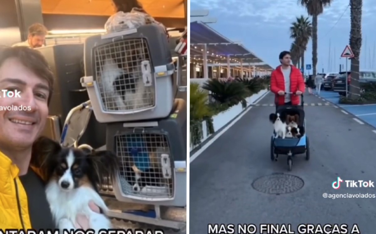 Hombre que perdió a sus perros por culpa de una aerolínea, se reencontró con sus mascotas / Especial