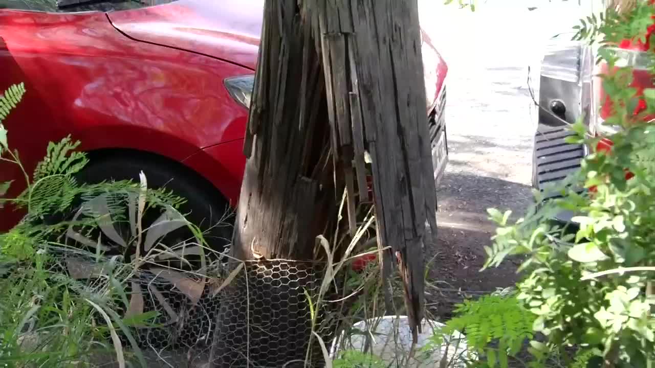 Poste quebrado lleva 5 años sin ser reparado en Monterrey