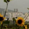 Aseguran que contaminación es causante de estrés oxidativo; alertan sobre situación en Área Metropolitana de Monterrey.
