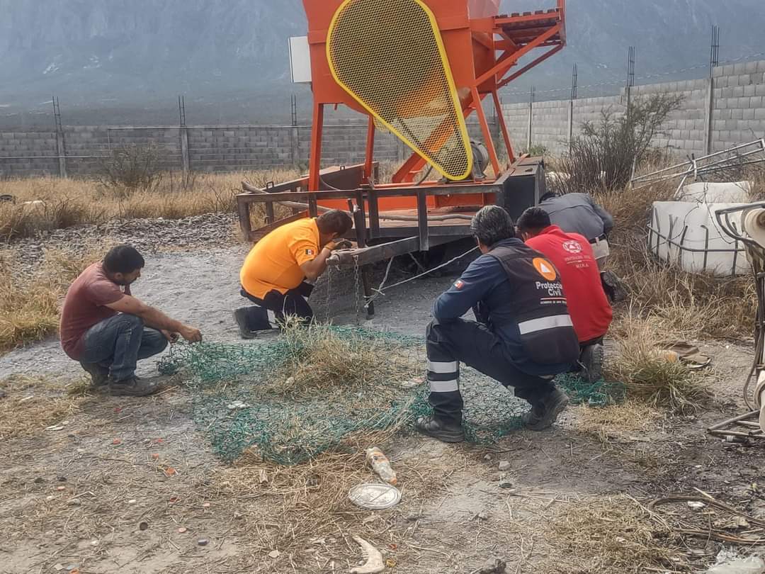 Oso malherido en Mina / Especial