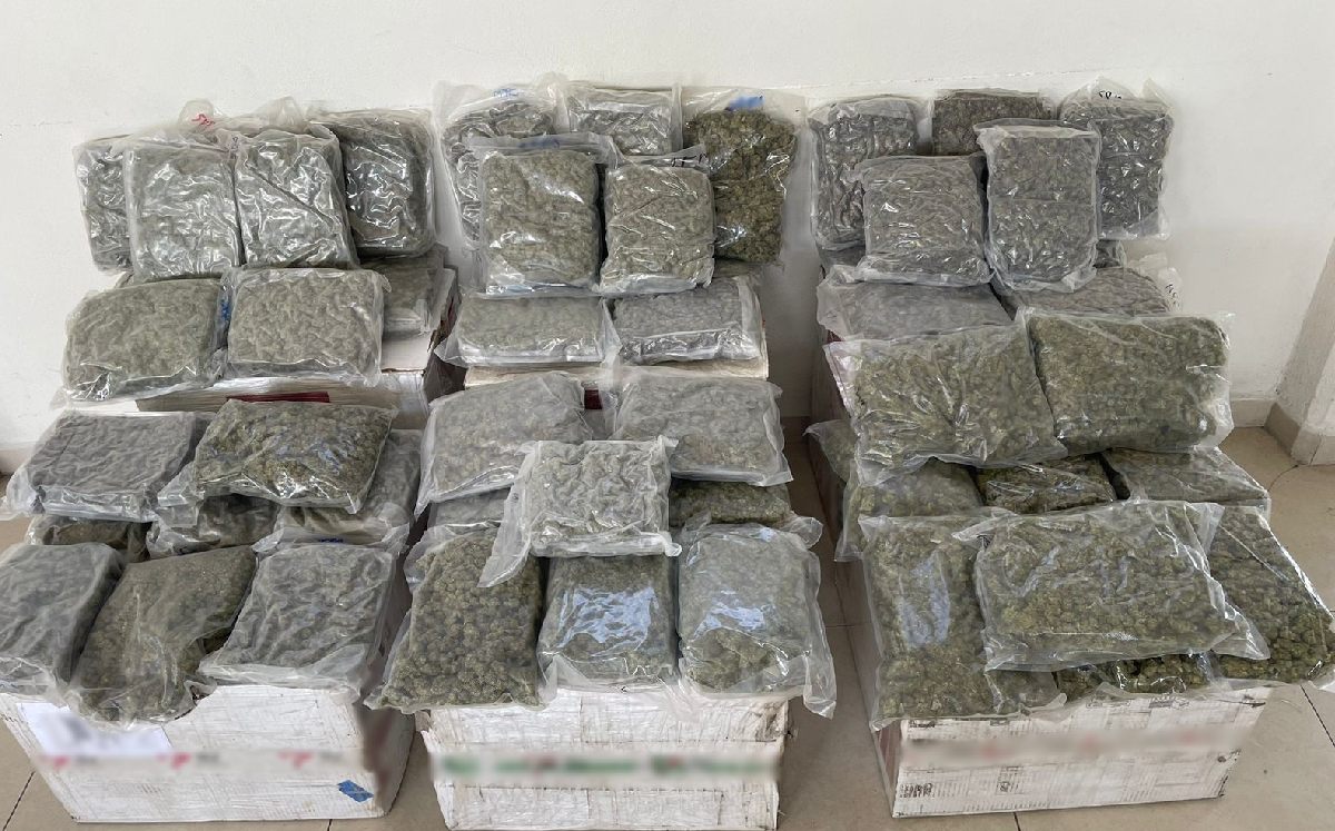 Hallan droga dentro de cajas de cartón en Nuevo León | Especial