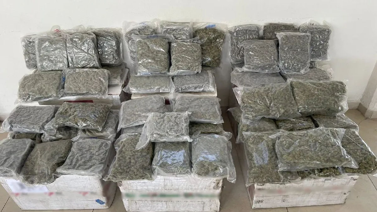 Hallan droga dentro de cajas de cartón en Nuevo León