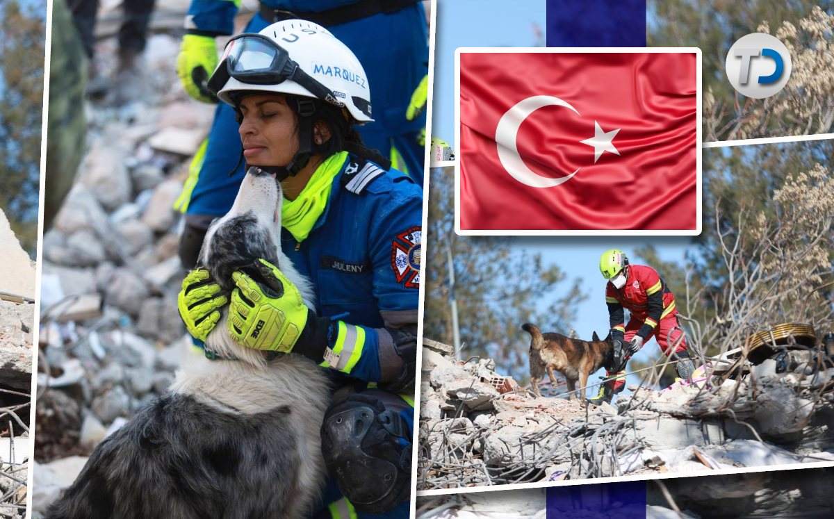 Así trabajan los perros rescatistas mexicanos en Turquía / Diseño Mauricio Ledesma