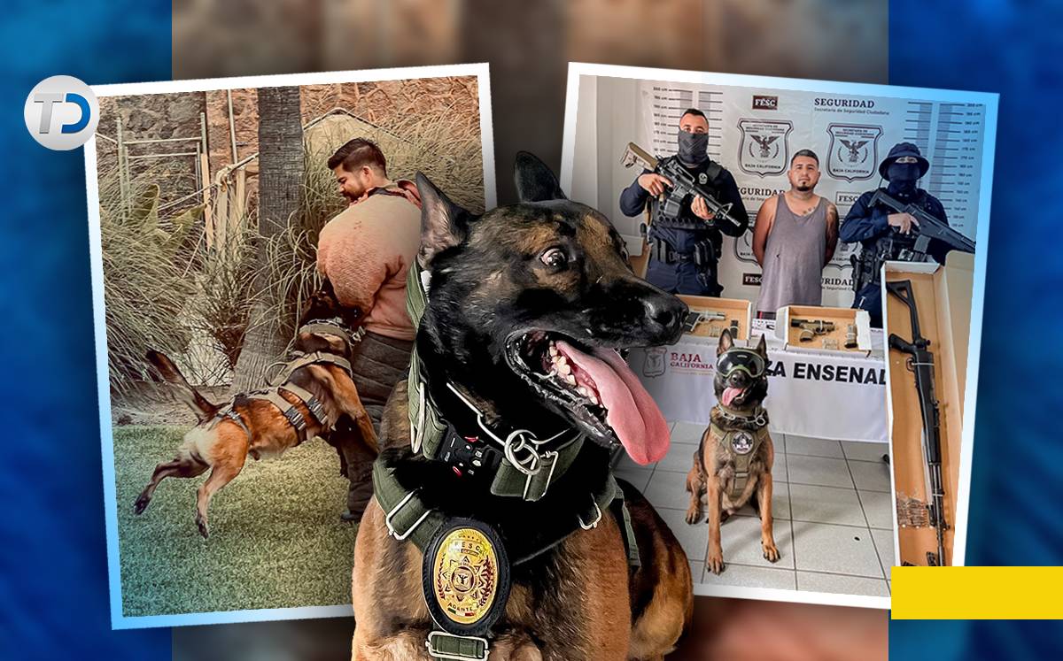 De urgencia lo trasladaron a una veterinaria, en donde tuvieron que amputarle la pata derecha. / Especial