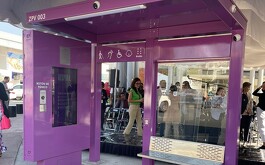 Zona Pulso de Vida en Zapopan